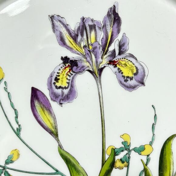 Spode stafford flowers tart baking dish iris & sphaerolibium 7" quiche plate - Picture 4 of 10
